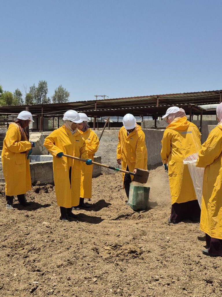 WhatsApp Image 2025-07-01 at 1.09.43 PM (4)